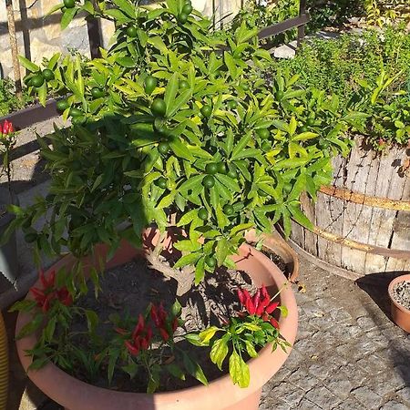 Appartamento House Ida Scafati Ngoại thất bức ảnh